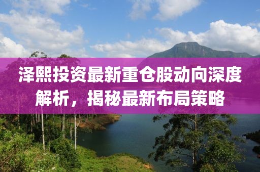澤熙投資最新重倉股動向深度解析，揭秘最新布局策略
