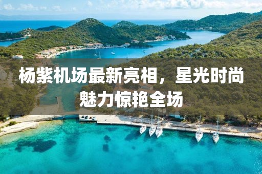 楊紫機(jī)場最新亮相，星光時尚魅力驚艷全場