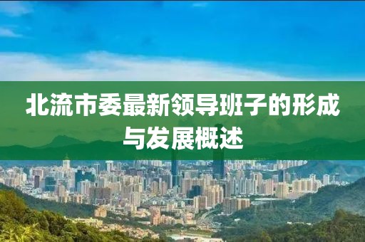 北流市委最新領(lǐng)導(dǎo)班子的形成與發(fā)展概述