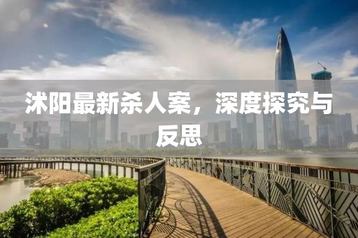 沭陽最新殺人案，深度探究與反思