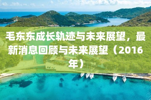 毛東東成長軌跡與未來展望，最新消息回顧與未來展望（2016年）