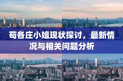 茍各莊小姐現(xiàn)狀探討，最新情況與相關問題分析