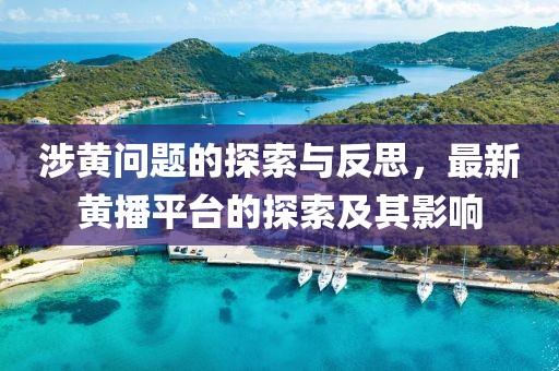 涉黃問(wèn)題的探索與反思，最新黃播平臺(tái)的探索及其影響