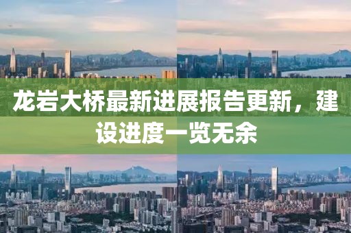 龍巖大橋最新進展報告更新，建設(shè)進度一覽無余