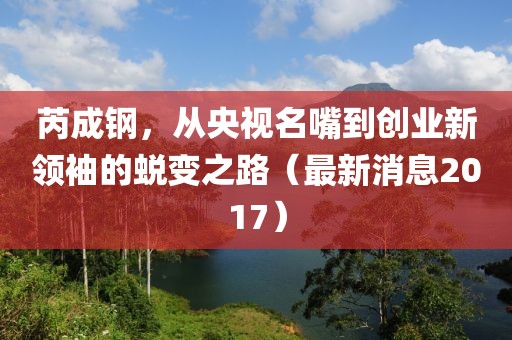 芮成鋼，從央視名嘴到創(chuàng)業(yè)新領(lǐng)袖的蛻變之路（最新消息2017）