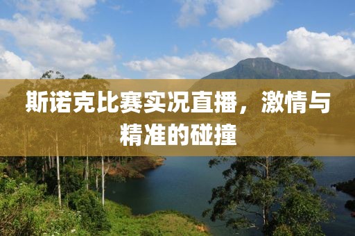 斯諾克比賽實(shí)況直播，激情與精準(zhǔn)的碰撞