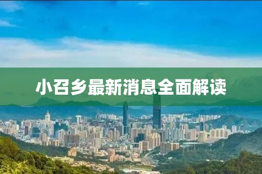 小召鄉(xiāng)最新消息全面解讀