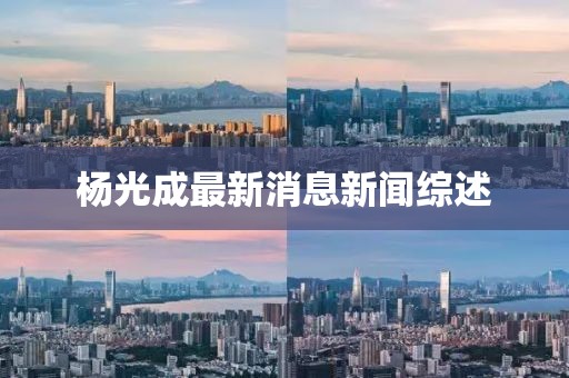 楊光成最新消息新聞綜述