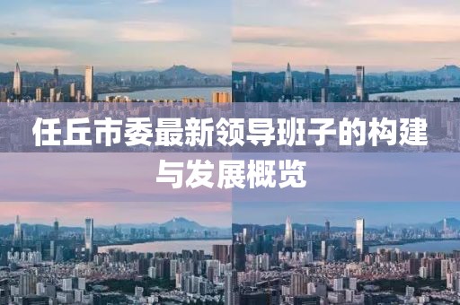 任丘市委最新領(lǐng)導(dǎo)班子的構(gòu)建與發(fā)展概覽
