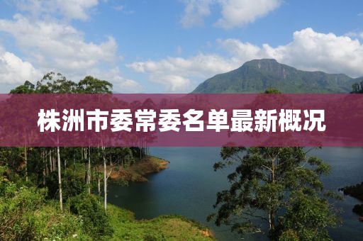 株洲市委常委名單最新概況