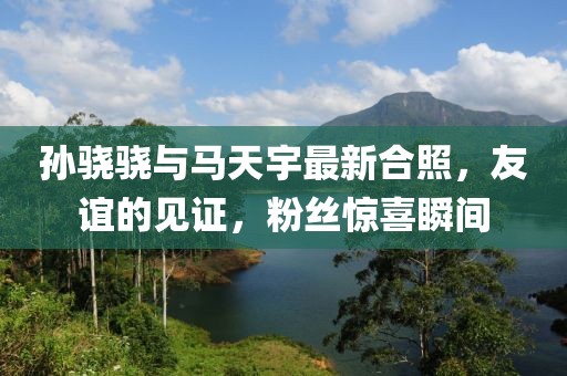 孫驍驍與馬天宇最新合照，友誼的見證，粉絲驚喜瞬間