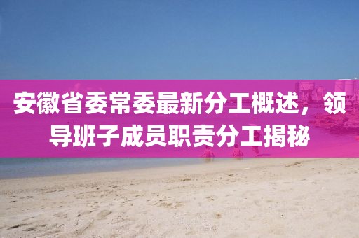 安徽省委常委最新分工概述，領(lǐng)導(dǎo)班子成員職責(zé)分工揭秘