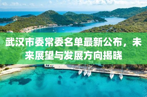 武漢市委常委名單最新公布，未來展望與發(fā)展方向揭曉
