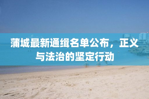 蒲城最新通緝名單公布，正義與法治的堅(jiān)定行動(dòng)