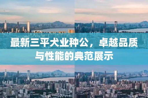 最新三平犬業(yè)種公，卓越品質(zhì)與性能的典范展示