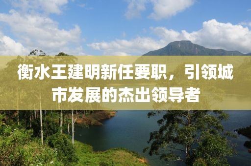 衡水王建明新任要職，引領城市發(fā)展的杰出領導者