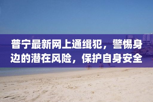 普寧最新網(wǎng)上通緝犯，警惕身邊的潛在風險，保護自身安全