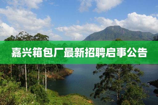 幾番春暮 第18頁