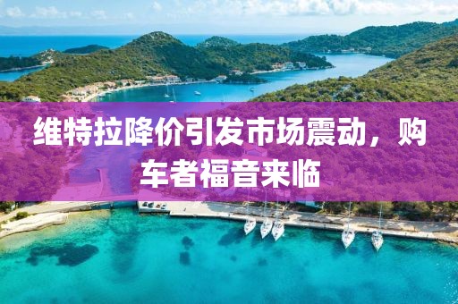 維特拉降價(jià)引發(fā)市場震動，購車者福音來臨