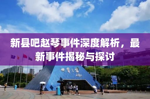 新縣吧趙琴事件深度解析，最新事件揭秘與探討