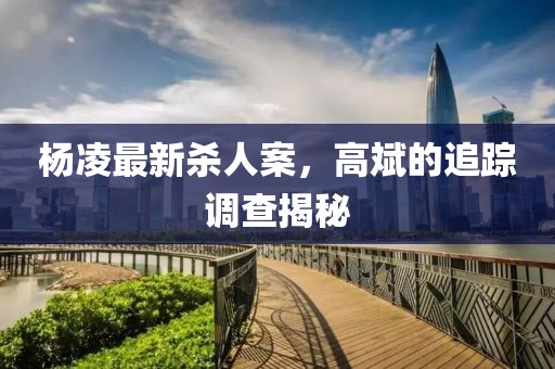 楊凌最新殺人案，高斌的追蹤調(diào)查揭秘