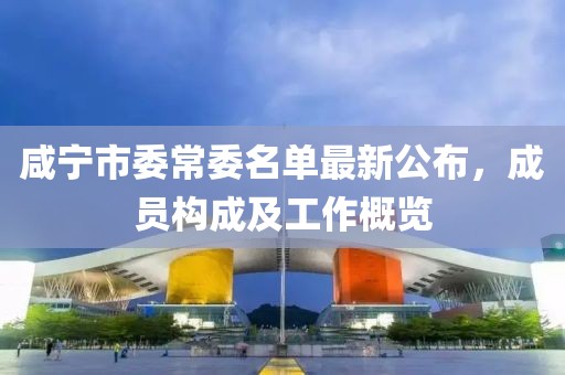 咸寧市委常委名單最新公布，成員構(gòu)成及工作概覽