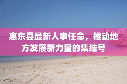 惠東縣最新人事任命，推動地方發(fā)展新力量的集結(jié)號