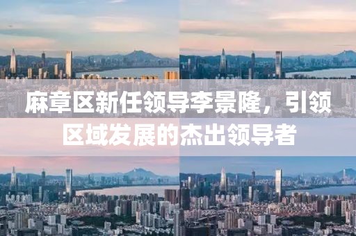 麻章區(qū)新任領(lǐng)導(dǎo)李景隆，引領(lǐng)區(qū)域發(fā)展的杰出領(lǐng)導(dǎo)者
