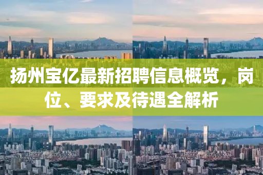 揚(yáng)州寶億最新招聘信息概覽，崗位、要求及待遇全解析