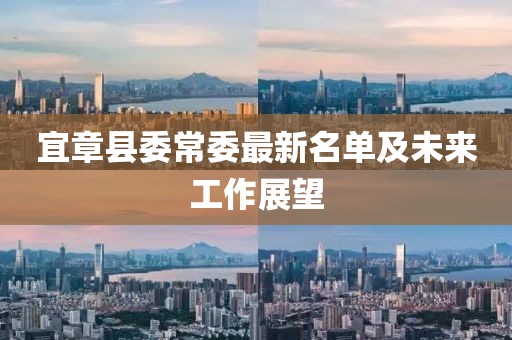 宜章縣委常委最新名單及未來(lái)工作展望