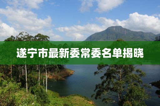 遂寧市最新委常委名單揭曉