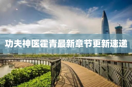 功夫神醫(yī)霍青最新章節(jié)更新速遞