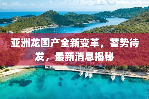 亞洲龍國產(chǎn)全新變革，蓄勢待發(fā)，最新消息揭秘