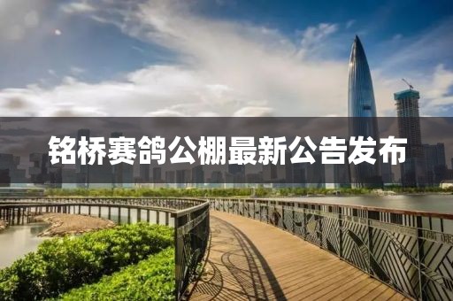 銘橋賽鴿公棚最新公告發(fā)布