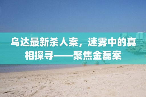 烏達(dá)最新殺人案，迷霧中的真相探尋——聚焦金磊案
