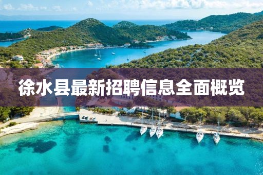 徐水縣最新招聘信息全面概覽