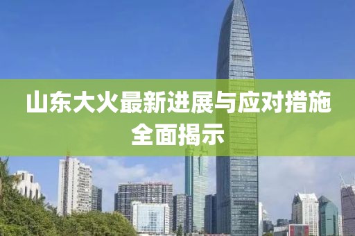山東大火最新進展與應(yīng)對措施全面揭示
