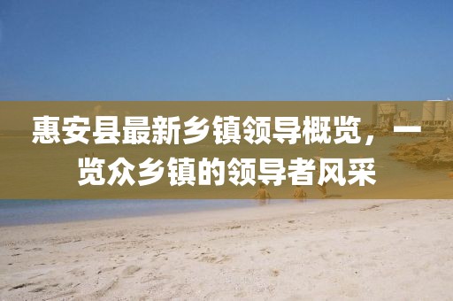 惠安縣最新鄉(xiāng)鎮(zhèn)領(lǐng)導概覽，一覽眾鄉(xiāng)鎮(zhèn)的領(lǐng)導者風采