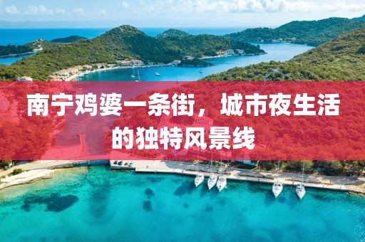南寧雞婆一條街，城市夜生活的獨(dú)特風(fēng)景線
