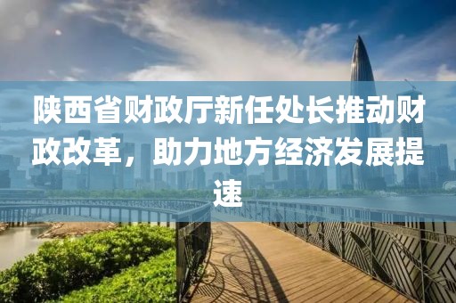 陜西省財(cái)政廳新任處長推動(dòng)財(cái)政改革，助力地方經(jīng)濟(jì)發(fā)展提速