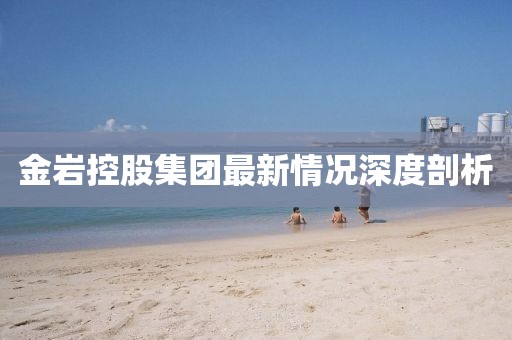 金巖控股集團(tuán)最新情況深度剖析