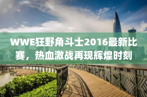 WWE狂野角斗士2016最新比賽，熱血激戰(zhàn)再現(xiàn)輝煌時(shí)刻