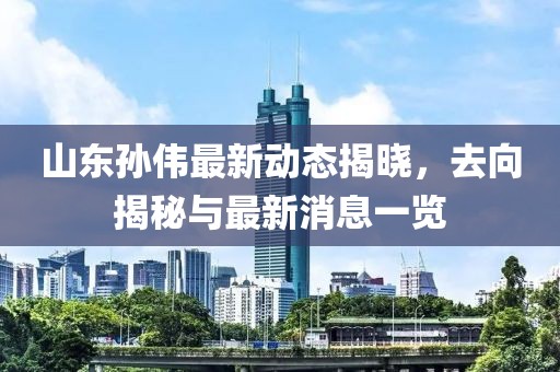 山東孫偉最新動(dòng)態(tài)揭曉，去向揭秘與最新消息一覽
