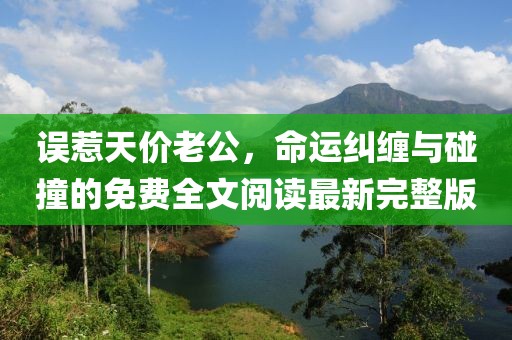 誤惹天價老公，命運糾纏與碰撞的免費全文閱讀最新完整版