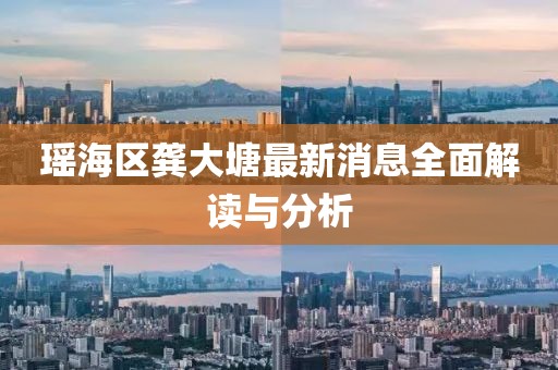 瑤海區(qū)龔大塘最新消息全面解讀與分析