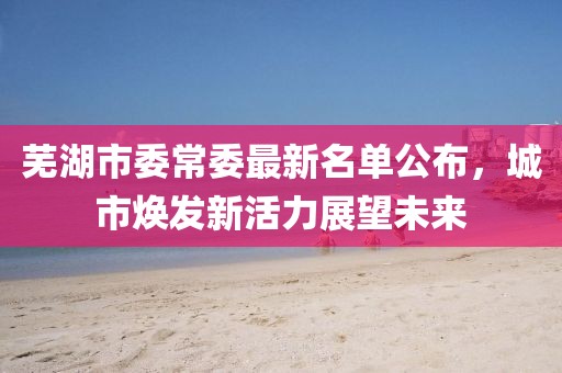 蕪湖市委常委最新名單公布，城市煥發(fā)新活力展望未來