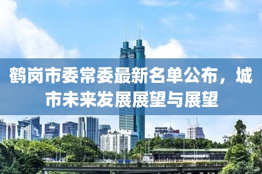 鶴崗市委常委最新名單公布，城市未來發(fā)展展望與展望