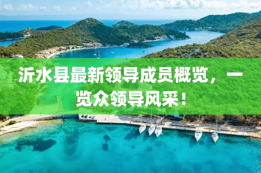 沂水縣最新領(lǐng)導(dǎo)成員概覽，一覽眾領(lǐng)導(dǎo)風(fēng)采！
