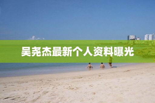吳堯杰最新個(gè)人資料曝光
