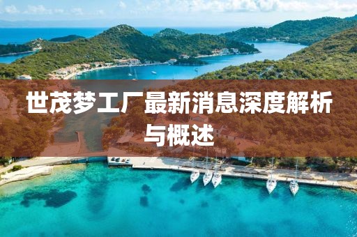 世茂夢(mèng)工廠最新消息深度解析與概述
